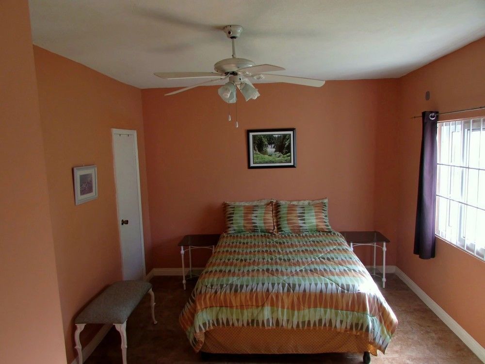 Centrally Located Guest Apartments Кінгстон Екстер'єр фото
